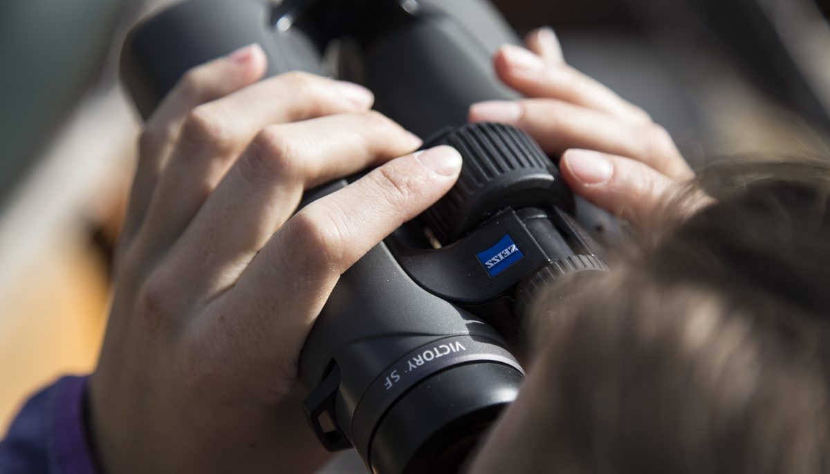 Person using the Zeiss Sport Optics Victory binoculars